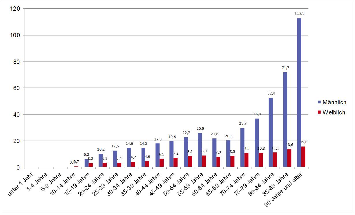 suizid im alter statistik