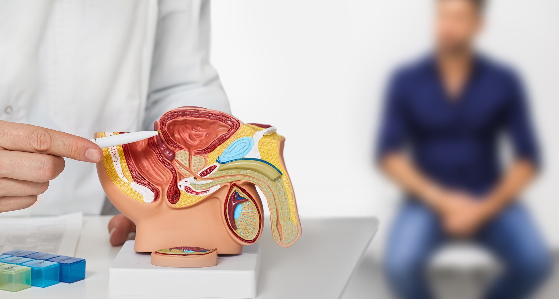 medical professional examining a anatomical model 2026 03 09 02 57 21 utc 2
