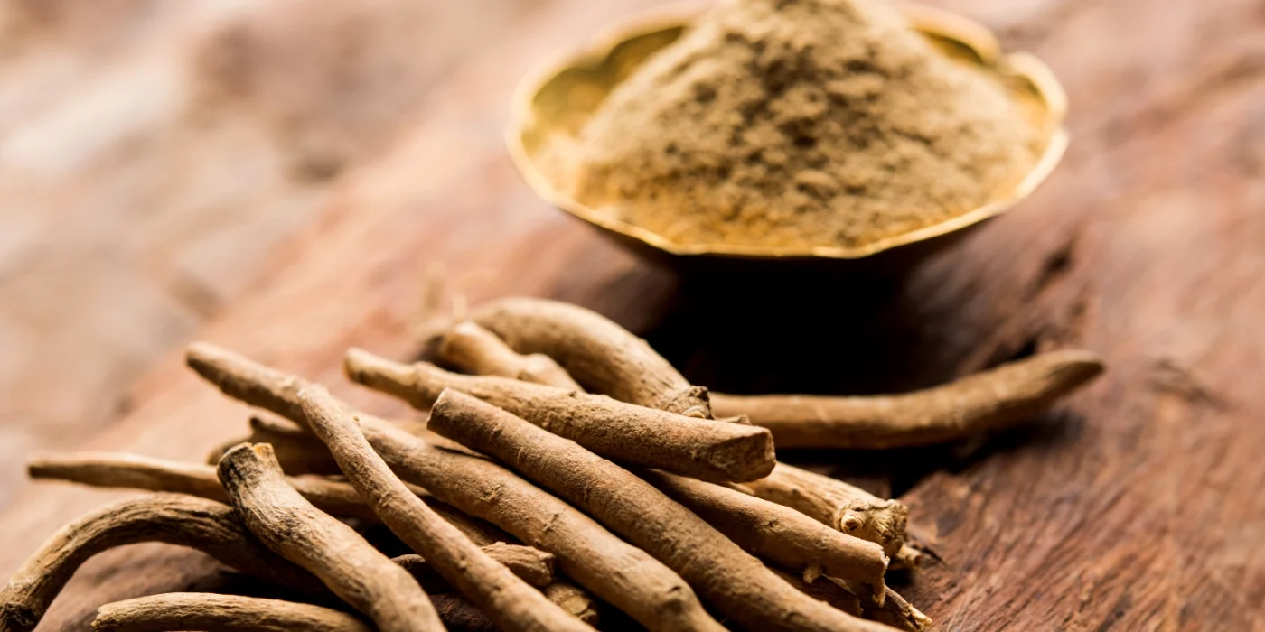 Ashwagandha (Withania somnifera): Ratgeber zu Wirkung, Anwendung und Risiken