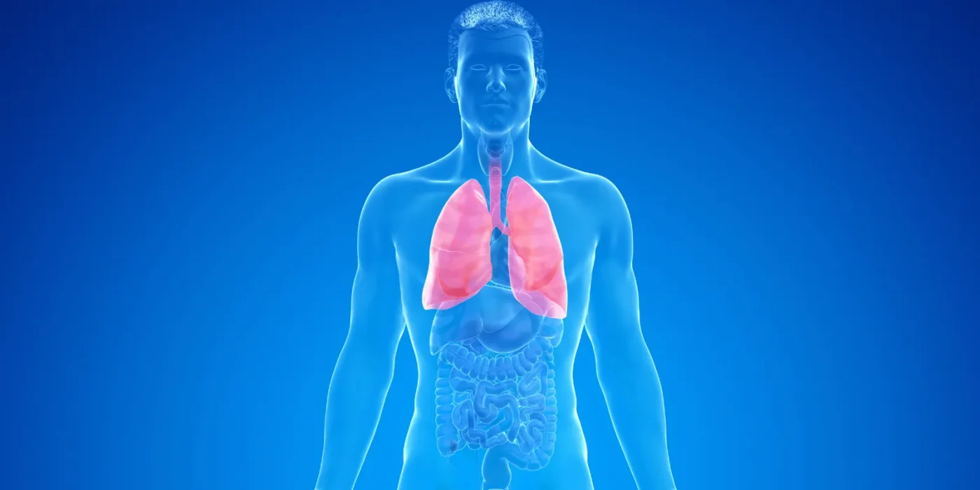 copd pflegegrad haushaltshilfe