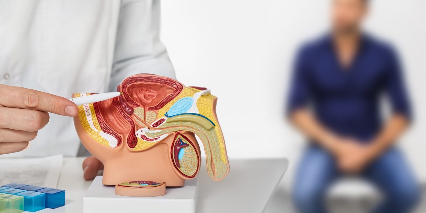 medical professional examining a anatomical model 2026 03 09 02 57 21 utc 2